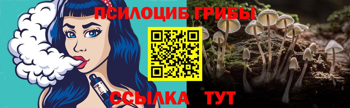 дарнет шоп  Галлюциногенные грибы прущие грибы  Вход с VPN  Псилоцибиновые грибы Cubensis  Уварово 