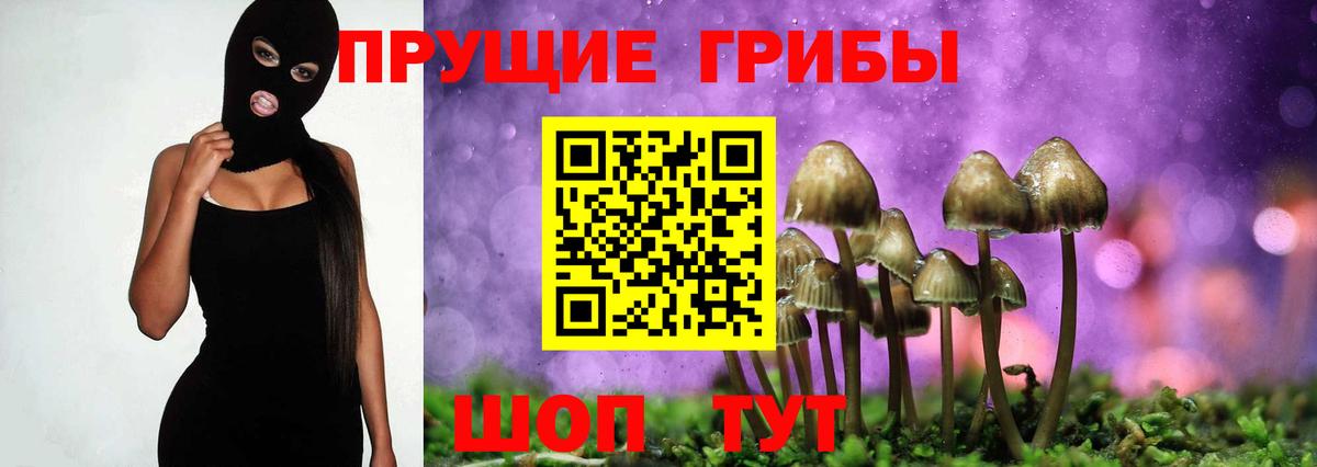 Галлюциногенные грибы прущие грибы Уварово